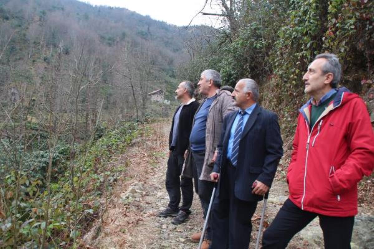 Son dakika haberi | 'BAL ORMANI'NA TAŞ OCAĞINA 'ÇED GEREKLİ DEĞİL' KARARI İPTAL